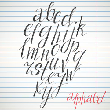 Calligraphic font. Handwritten alphabet in brush style. Modern script in vector. Handmade thin letters.