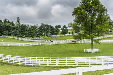 Paddocks of White Fences on Horse Farm
