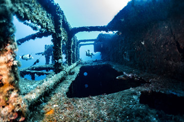 Diving on the wreck 