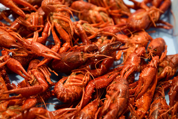 Close-up of boiled shrimps as a background .