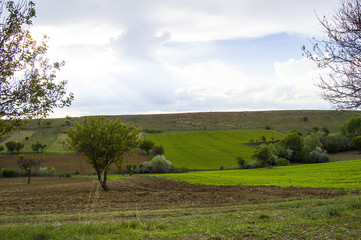 Wonderful natural landscapes from the steppe climate, while the remote sheepskin swinging pastry
