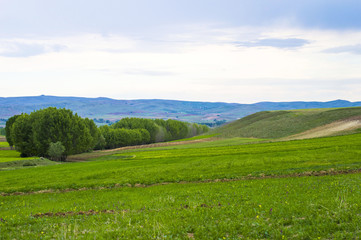Wonderful natural landscapes from steppe climate, cultivated lentils and fallow fields
