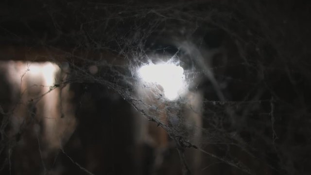 cobweb or spider web in ancient thai house window lighting