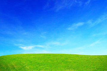 Green grass hills and blue sky.
