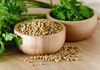 Coriander seeds