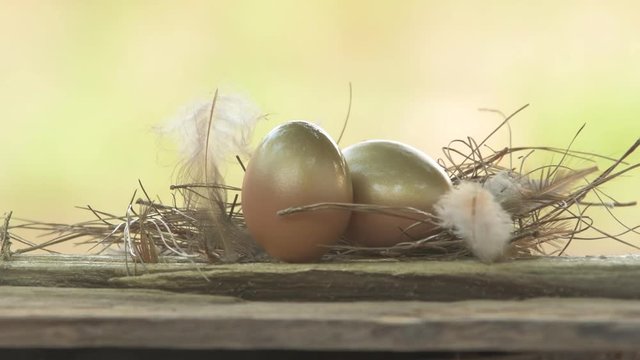 Spray paint golden eggs into nest