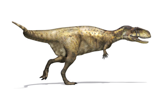 Abelisaurus Dinosaur