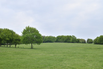 イギリスのニュータウン：ミルトン・キーンズの公園、キャンベル・パーク