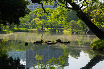 小石川後楽園の風景