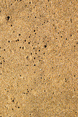 Wet sand at the beach background.