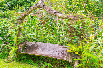 Bench in the green park .