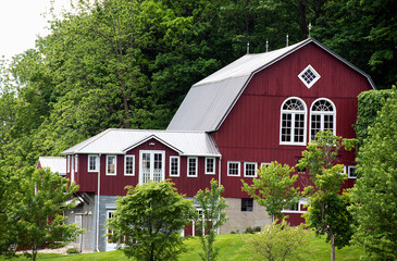 elegant red barn in summer green foliage © driftwood