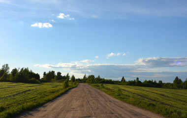 Obraz premium Beautiful countryside rural evening landscape: a sandy road between fields with sloping green grass, nature