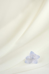 Fototapeta na wymiar 白い布　花　背景素材