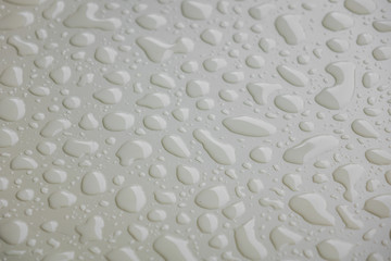 Water drops on white  blackground .