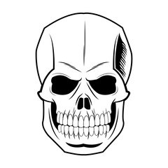 skull human skeleton vintage pirate symbol vector illustration