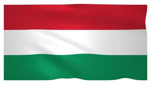Flag of Hungary waving on white background