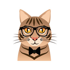 Hand drawn portrait of Cat with glasses and bow tie. Vector isolated elements.