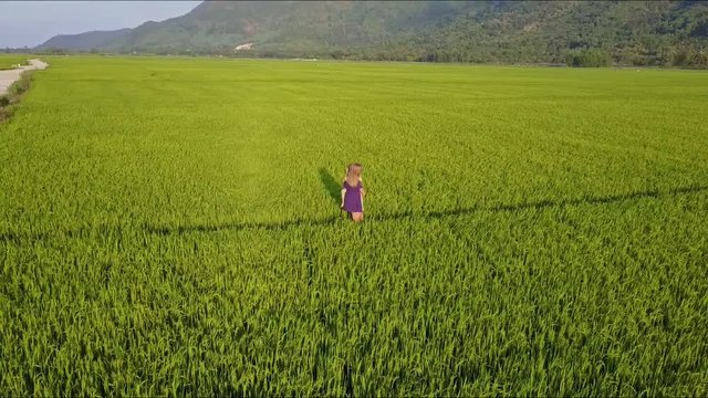 Aerial View Woman Carries Girl in Arms among Rice Fields