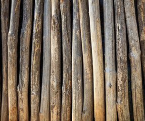 Wooden tree trunks fence