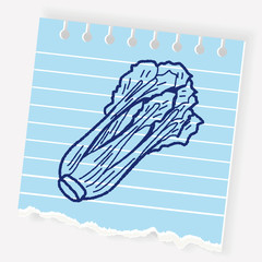 Cabbage doodle