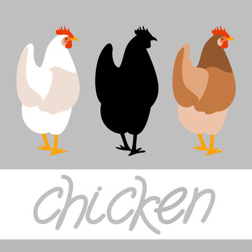 chicken vector illustration style Flat set silhouette