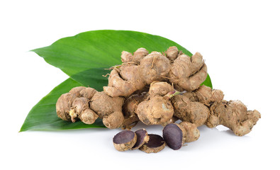 Black galingale on white background