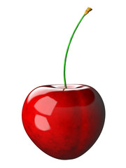 Czereśnia na białym tle