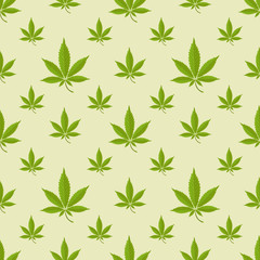 Seamless pattern with marijuana leaf on a green background