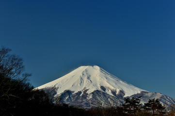 新雪の富士