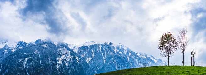 Panoramabild grüner Hügel mit Bäumen und Bergen mit Schnee