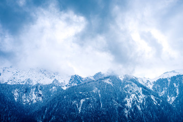 Fototapeta na wymiar Triste Stimmung bei Bergen mit Tannen und Schnee