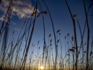 The beautiful sunset. Shot in Denmark