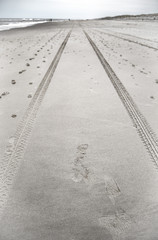 The beach. Shot in Denmark