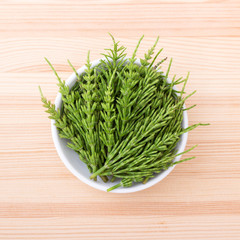 fresh field horsetail / Porcelain bowl with fresh field horsetail 
