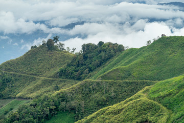 Fototapeta na wymiar View of small hills in Kundasang, Sabah, Malaysia