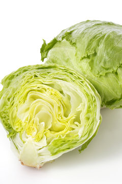 レタス　lettuce