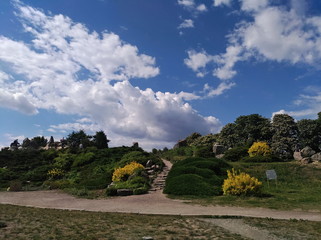 Bright panorama of the Botanical Garden named after Grishko in Kiev.