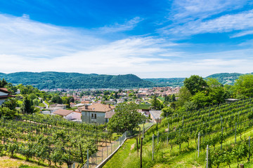 Fototapeta na wymiar Chiasso, Ticino canton, Switzerland. View of the town of Italian Switzerland, on a beautiful morning with blue sky and white clouds. In the foreground vineyards on the hills surrounding 