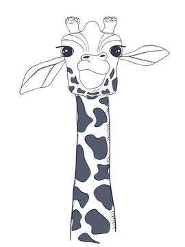 Hand drawn giraffe. Vector illustration