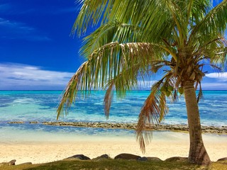 Fototapeta na wymiar Beautiful white sanded beach and turquoise lagoon of Moorea, Tahiti, French Polynesia