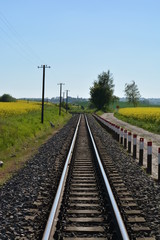 Fototapeta na wymiar Eisenbahnschinen durchs Rapsfeld in Sellvitz, Rügen