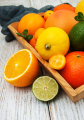 Fresh citrus fruits