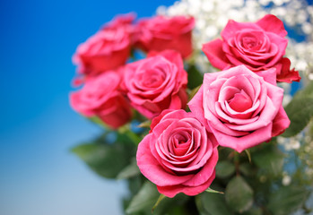 バラの花