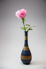 バラの花