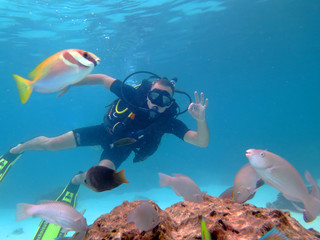 Diver with fish underwater in the Gulf of Thailand © Tatiana