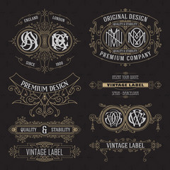 Old vintage floral elements - ribbons, monograms, stripes, lines, angles,border, frame,label, logo - vectors