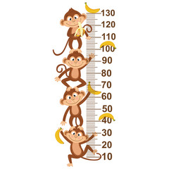 growth measure with monkey  - vector illustration, eps
