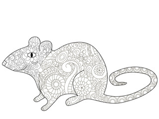 rat Coloring book vector for adults