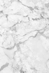 White marble texture background floor decorative stone interior stone